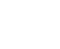 La grande vitesse